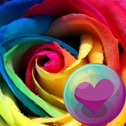 أيقونة Beautiful Roses HD Wallpapers
